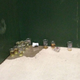Illustration for article titled Fans At Wrigley Field Are Resorting To Peeing In Cups